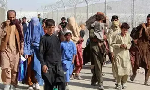 Nearly 1.8 million Afghan refugees return home in past 12 months