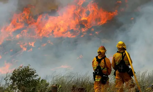Fossil fuel industry to blame as record heat scorches planet