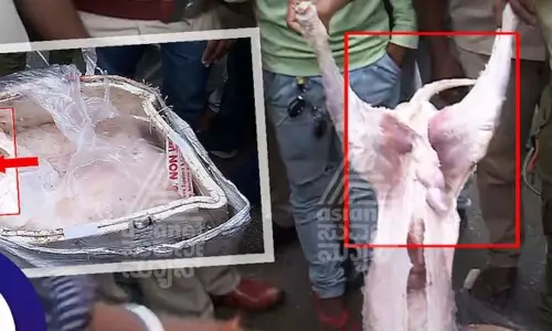 Dog meat not brought from Raj, lab report clarifies it is mutton
