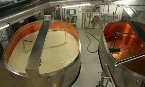 Innovative startups driving India’s food processing industry