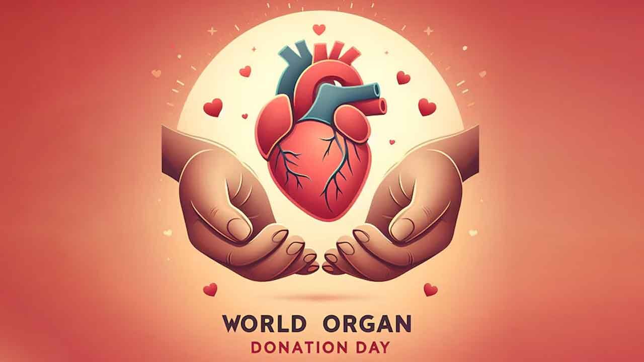 World Organ Donation Day 2024 Theme, History, Significance, and