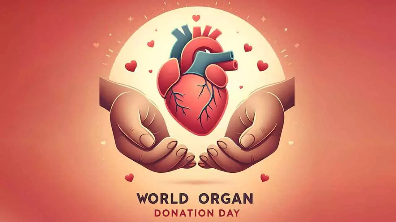 World Organ Donation Day 2024: Theme, History, Significance, and Inspiring Quotes