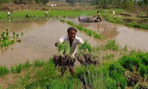 Final tranche of loan waiver on Aug 15