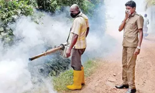 Dengue cases recline in Haveri district