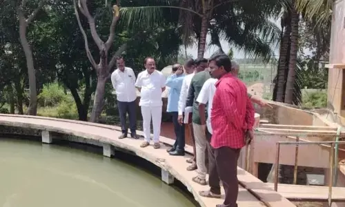 Municipal Chairman Inspects Jamulamma Filter Bed to Ensure Clean drinking water