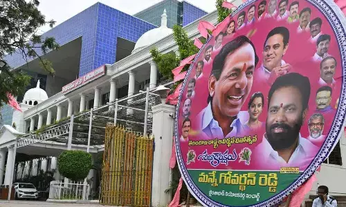 Battered BRS pines for DMK model