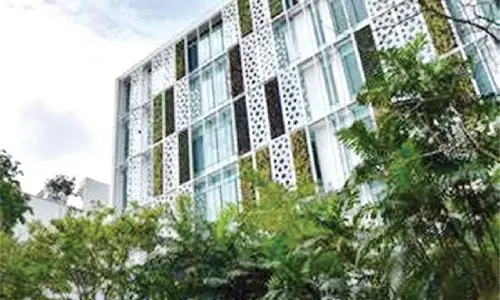 More companies lease green offices to meet sustainability targets