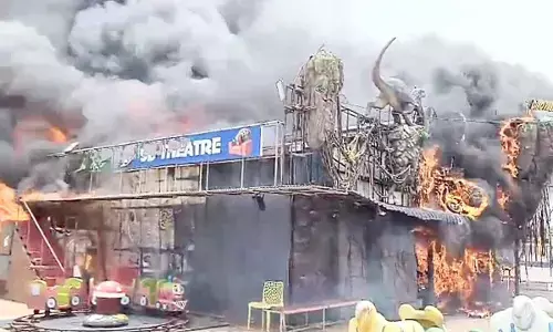 Dino Park at RK Beach goes up in flames