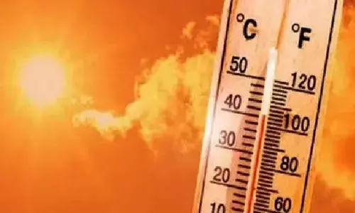 South Korea: Heatwave death toll rises to 21