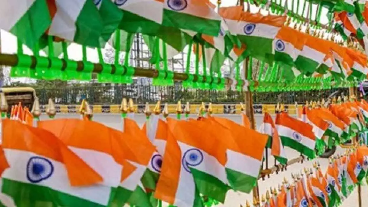 Mangaluru civic body advises against use of plastic flags