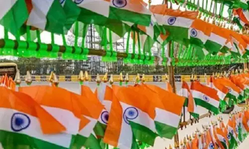 Mangaluru civic body advises against use of plastic flags