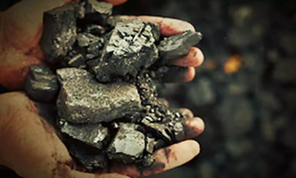 Higher coal production leads to decline in prices in June