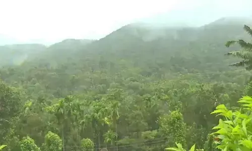 Bandh called in Sringeri to protest Forest dept’s encroachment clearance