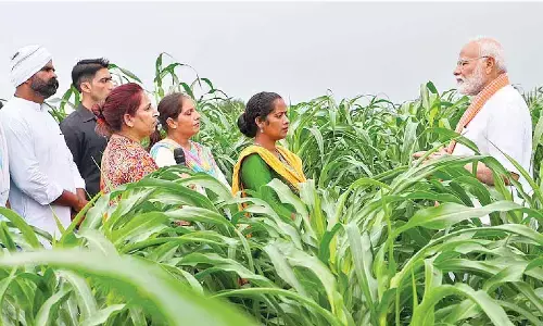 Rice scientists excited after PM’s gesture
