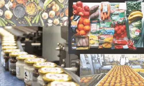 30% drop in food processing FDI in FY24