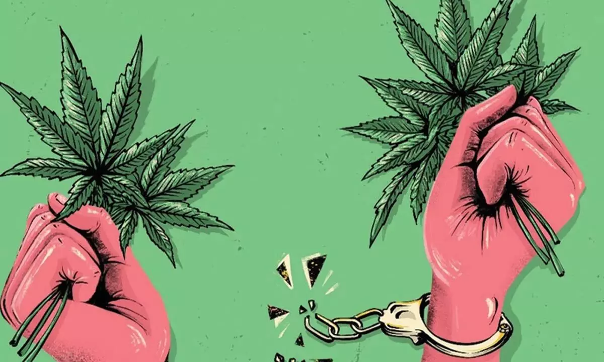 Should marijuana use be legalised?