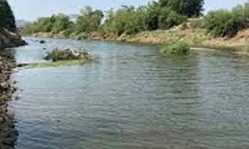 Environmentalists demand removal of encroachments from TN river