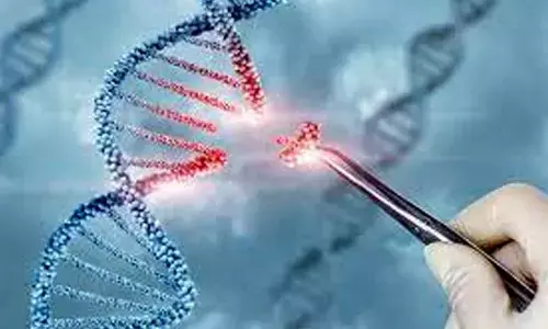 Study decodes connection between metabolism and immunity in genetic diseases