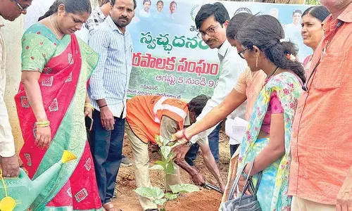 No one to care for saplings