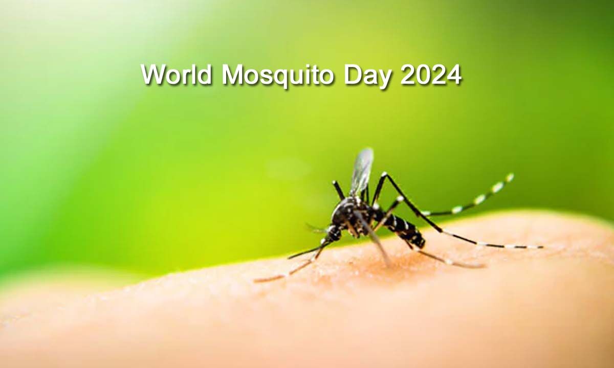 World Mosquito Day 2024 Date, Theme, History, and Significance