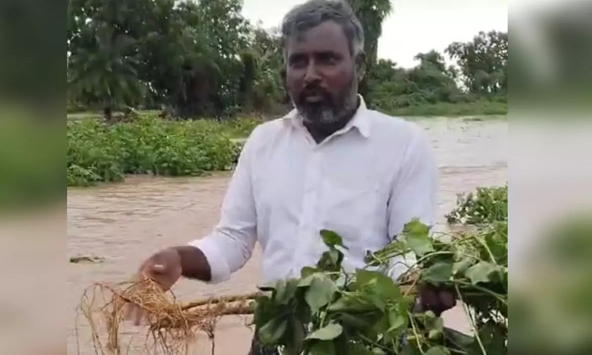 Flood Havoc in Boyalagudem: Farmers Despair