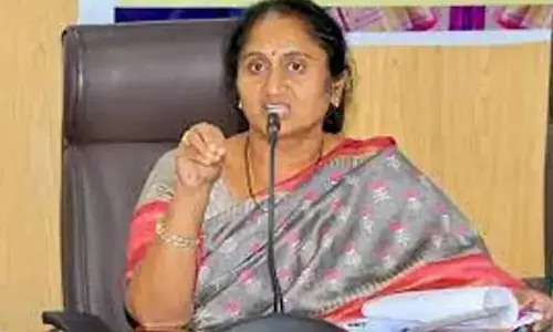 Phule’s ideals inspiration for govt: Minister Savita