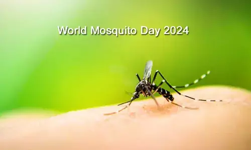 World Mosquito Day 2024: Date, Theme, History, and Significance