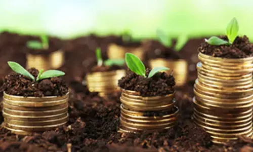 India a bright spot, to remain fastest-growing major economy this year