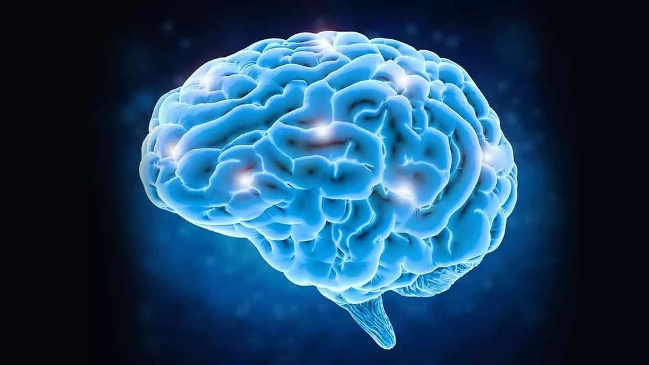 Study proposes new obesity treatment with brain electrical stimulation