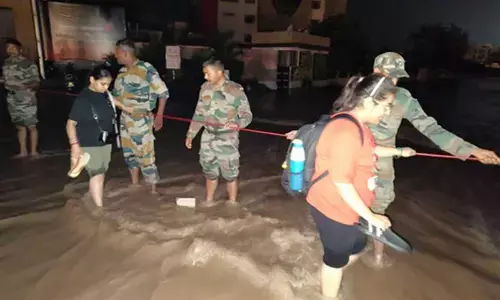 Flooding last year was due to peculiar rainfall patterns in Punjab, Himachal Pradesh: Study