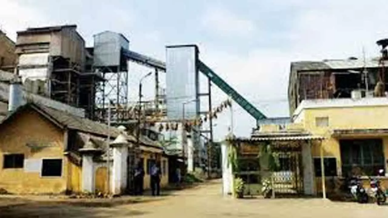 MySugar factory faces backlash amid technical issues and farmer unrest