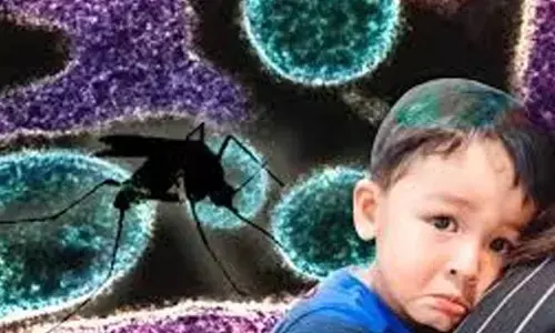 28 children died of Chandipura virus in Gujarat
