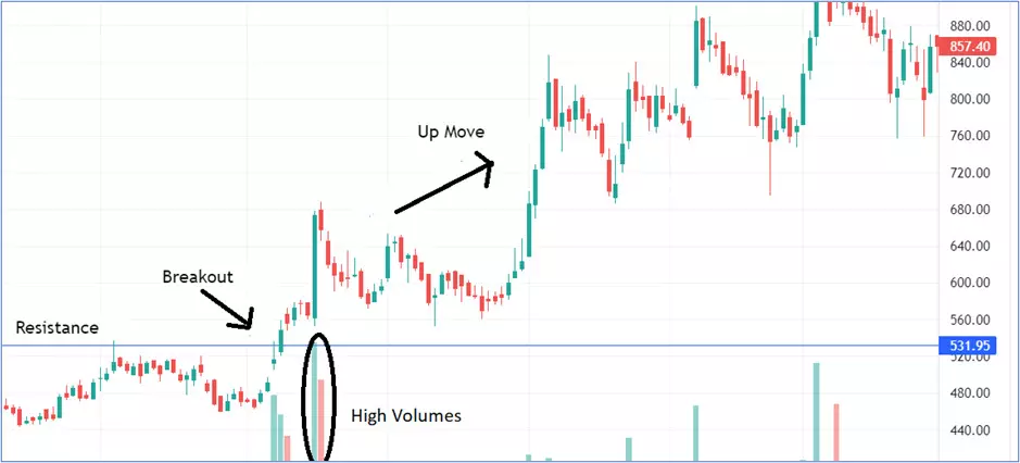 Using Nifty Screener to Identify Potential Breakout Stocks