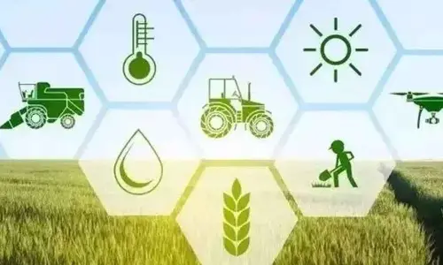 How to boost agricultural growth