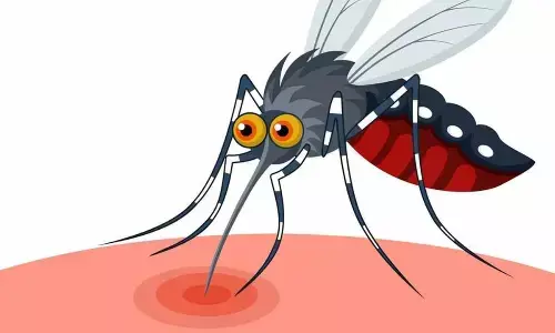 1,852 dengue cases registered in city this year