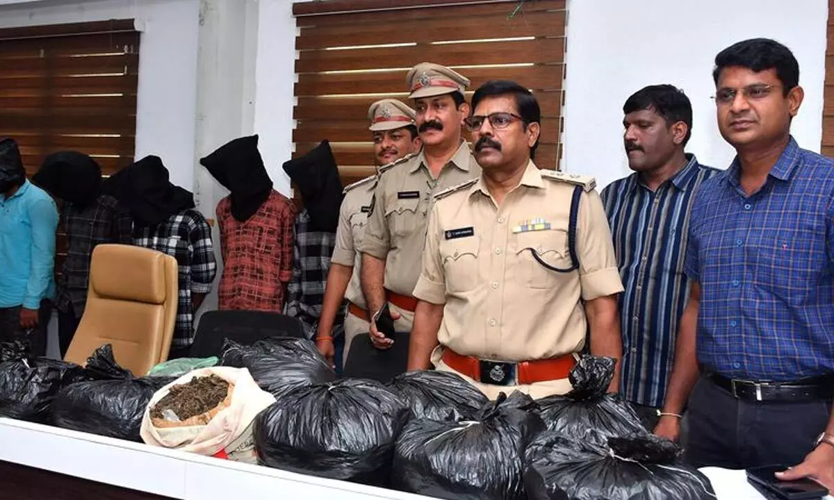 Vijayawada cops arrest 11, seize 23.5 kg weed