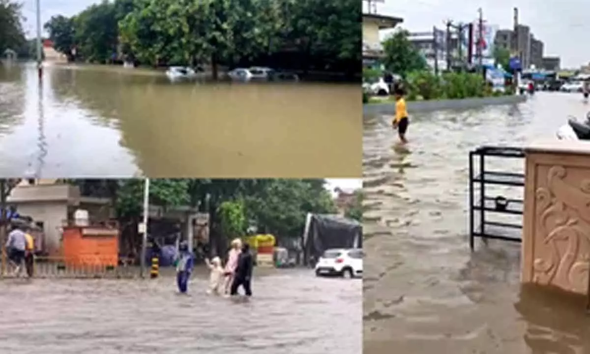 7 dead, 6,000 relocated as torrential rain pounds Gujarat