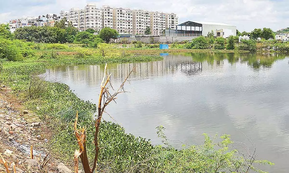 Encroachments eat into Hasmathpet Lake