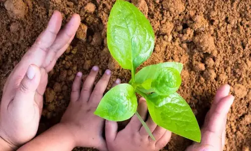 200 saplings to be planted in each village