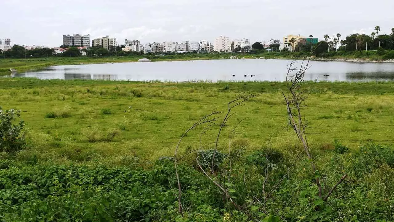 Once drinking water source, Kapra lake is gasping for life