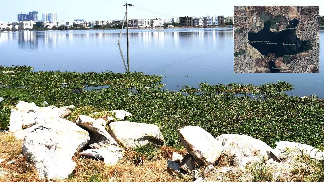 A TALE OF VANISHING LAKES-II: Once haven for winged visitors, Ameenpur Lake turns pollution hub