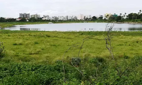 Once drinking water source, Kapra lake is gasping for life