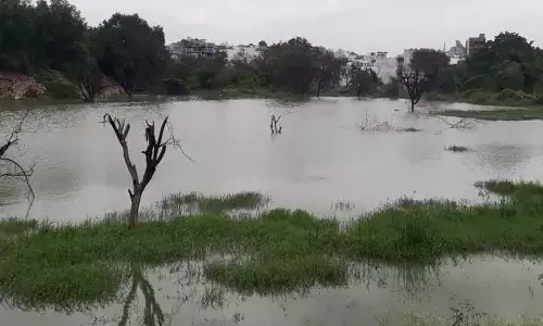 No post-demolition measures at water bodies raise eyebrows