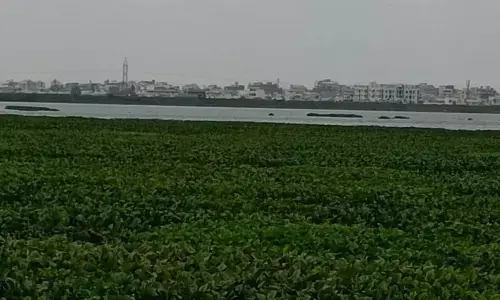 Fox Sagar: It once quenched parched throats, now a haven for encroachers