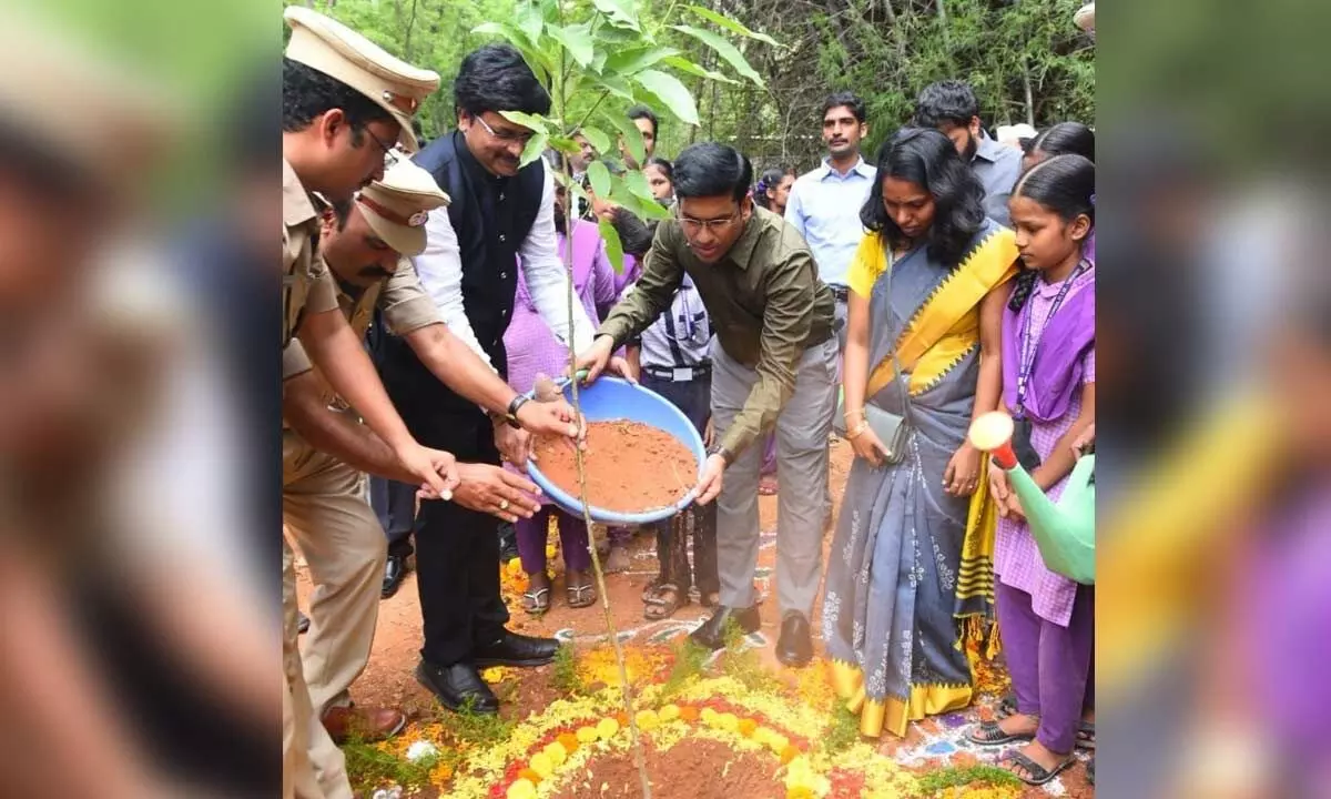 District Collector Dr S Venkateswar planting a sapling in Tirupati on Friday