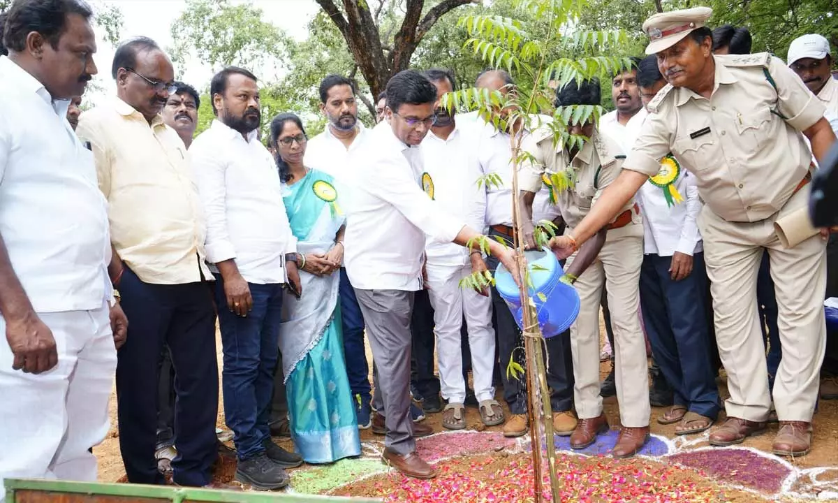 Chittoor MP D Prasada Rao planting a sapling on Friday.  Mayor Amuda and others are also seen.