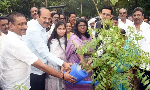 Minister Kolusu Parthasarathy watering a sapling at  Batthulavarigudem in Eluru district on Friday. Collector K Vetri Selvi and Unguturu MLA Patsamatla Dharmaraj are also seen.