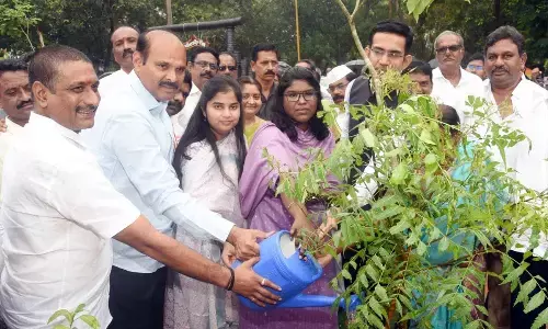 1.43 lakh saplings planted on single day