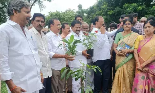 Minister Dr DSBV Swamy and TDP leader Dr Nukasani Balaji planting a sapling at Panguluruvari Palem in Zarugumalli mandal in Prakasam district on Friday