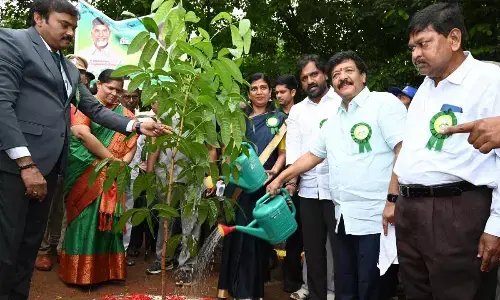 Minister Kandula Durgesh participating in Vana Mahotsav programme at Arts College in Rajamahendravaram on Friday